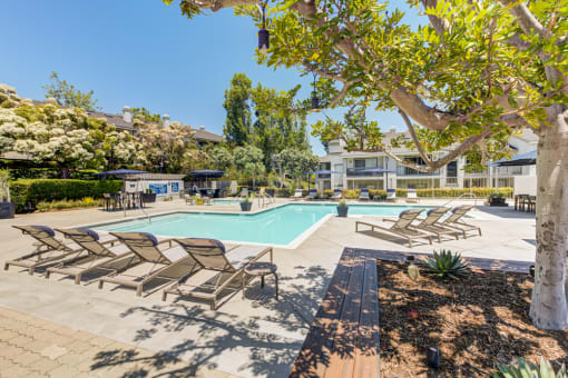 Harbor Point Apartments