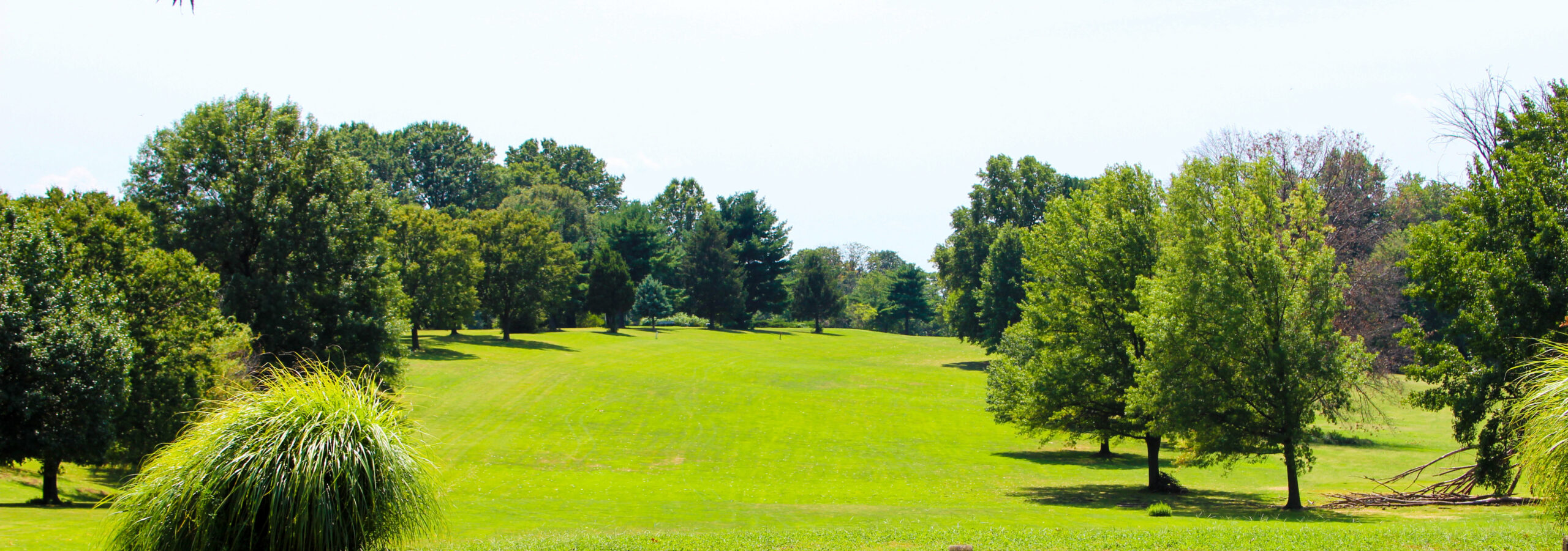 Lush green outdoor landscape at the facility