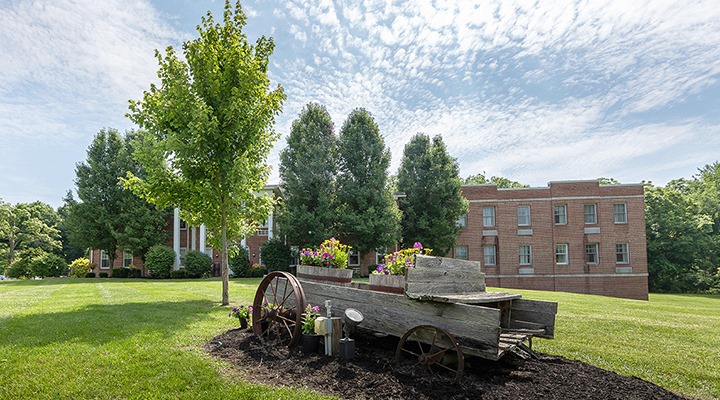 Outdoor space with flowers and a vintage wagon