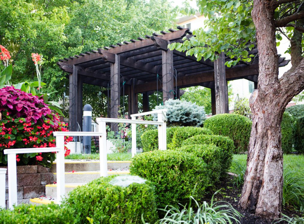 Well-maintained garden area with a pergola