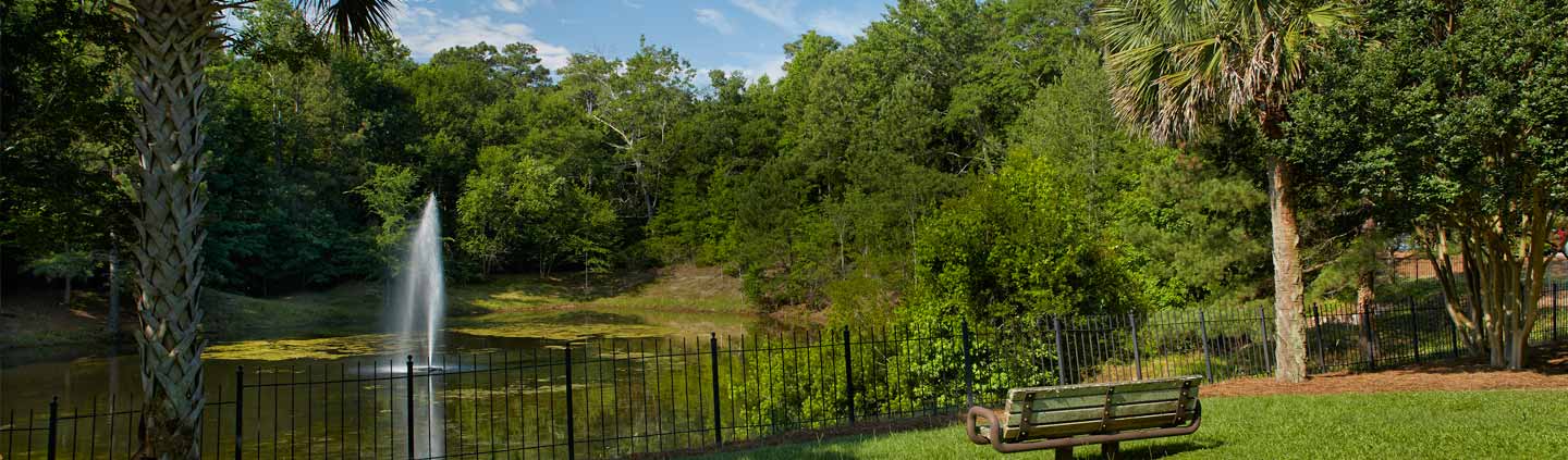 Beautiful outdoor space with a pond and bench