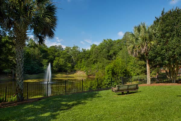 Scenic view of a pond with trees and a fountain