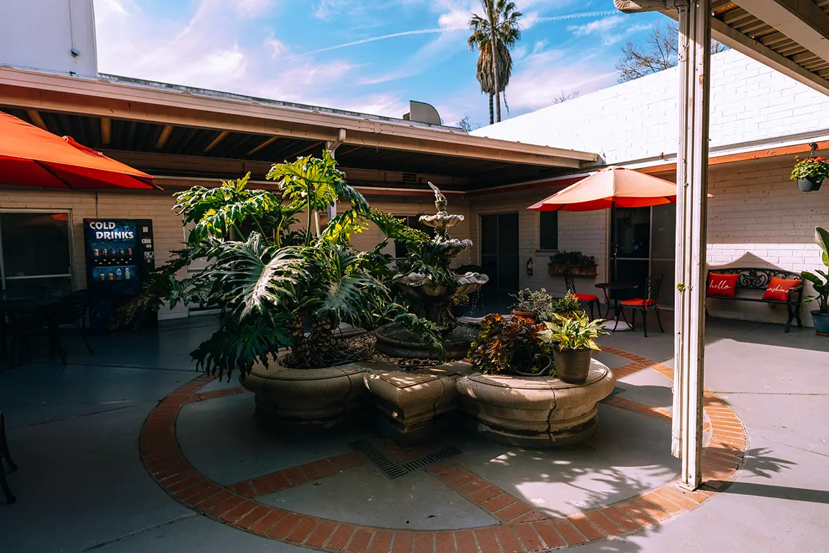 Outdoor courtyard with plants and seating areas
