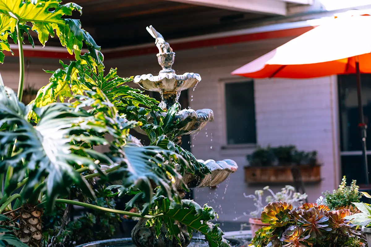 A beautiful outdoor fountain surrounded by lush greenery