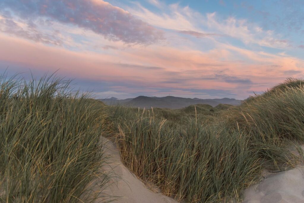 Curry Village Health and Rehab of Cascadia