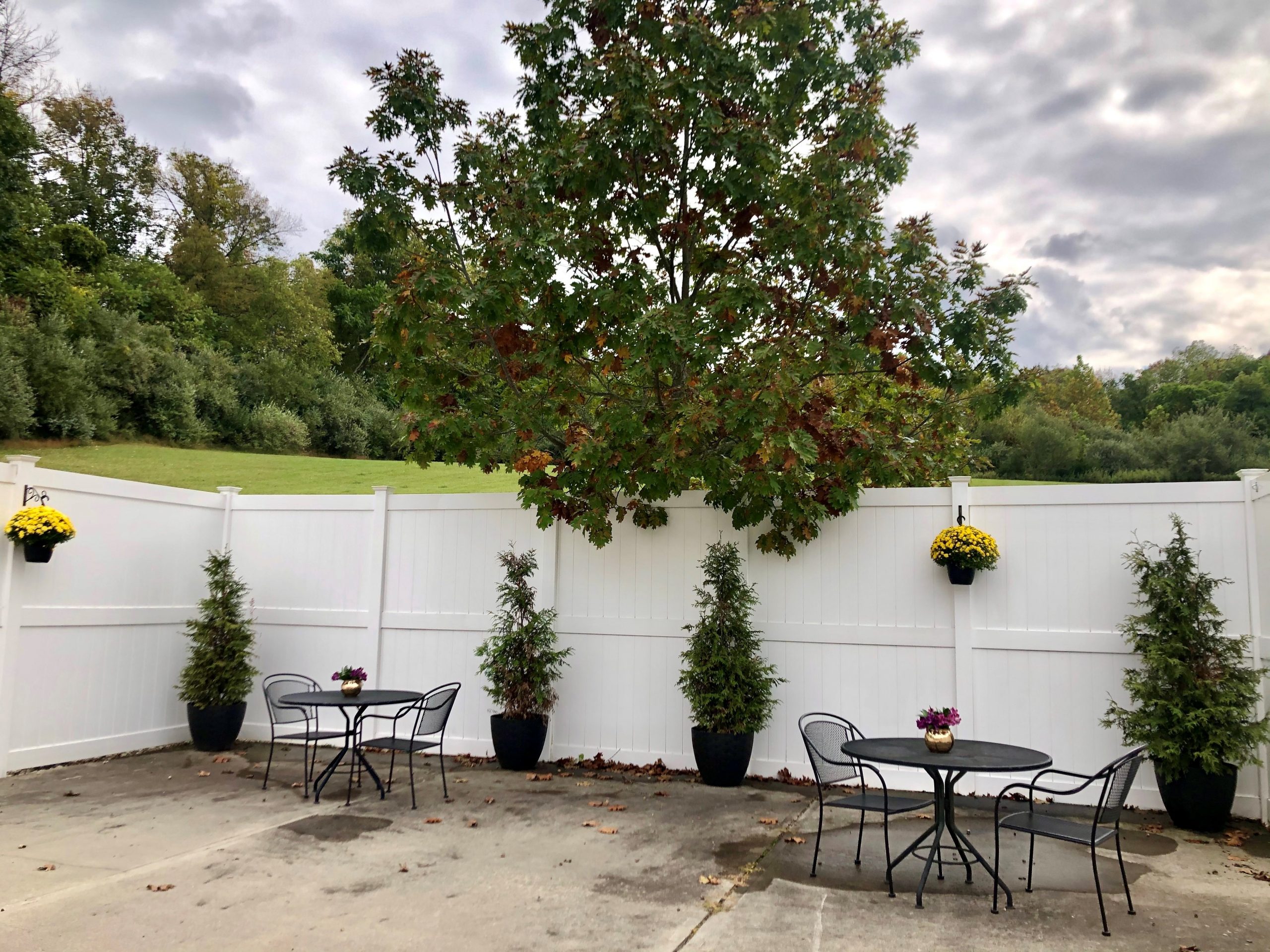 Outdoor patio area with tables and plants