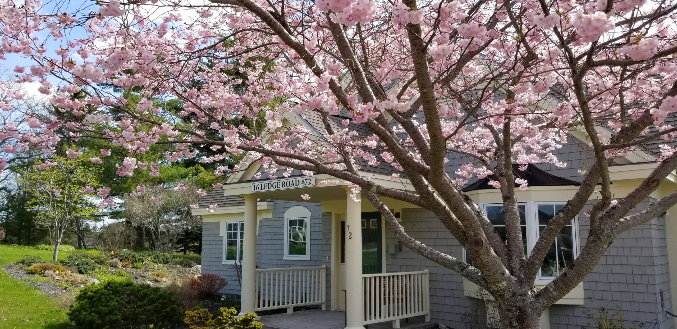 Exterior view of the facility with blooming trees