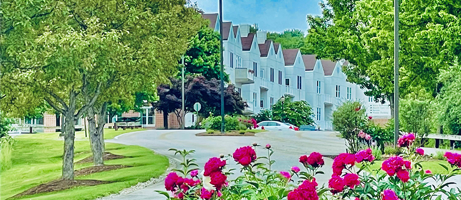 Glen Arden Inc — photo 6