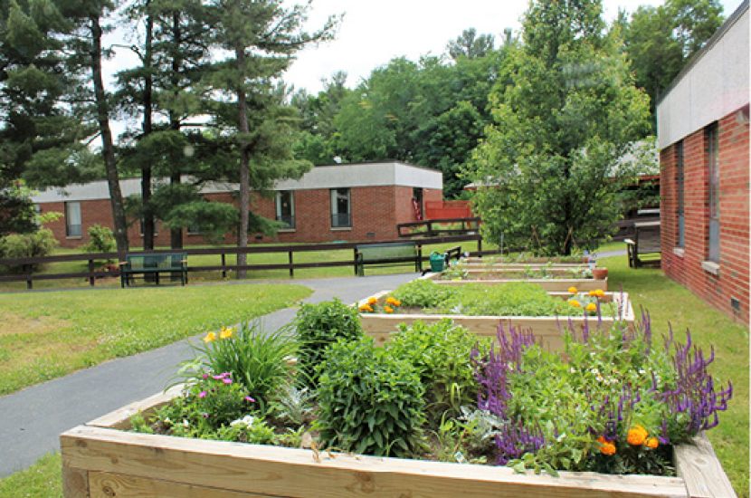 Pine Haven Home