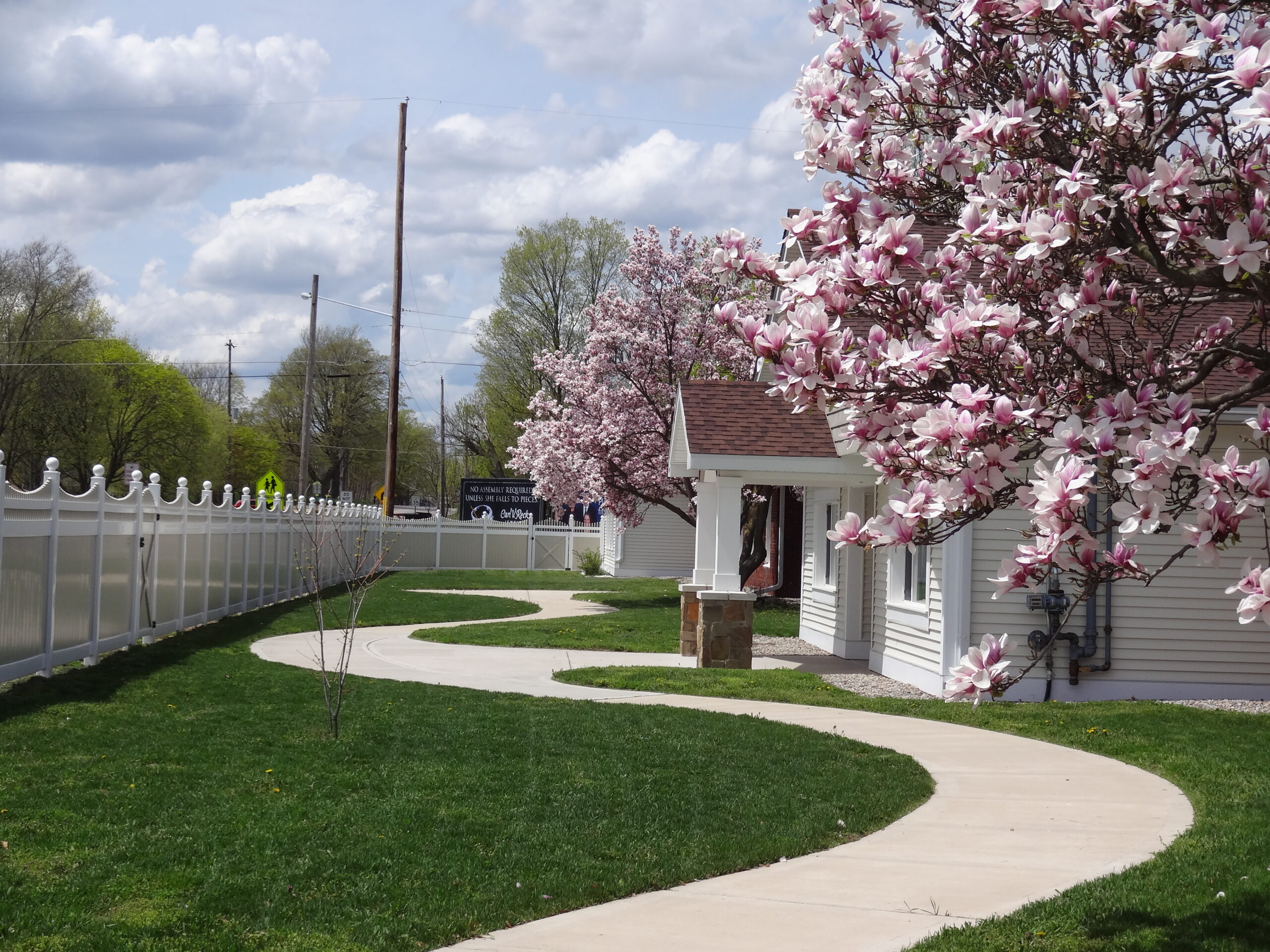 Pathway lined with blossoming trees in a garden setting
