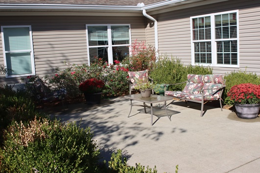 Outdoor seating area with flowers and shrubs