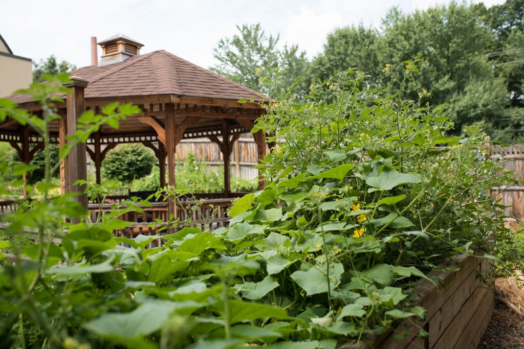 Garden gazebo surrounded by lush greenery