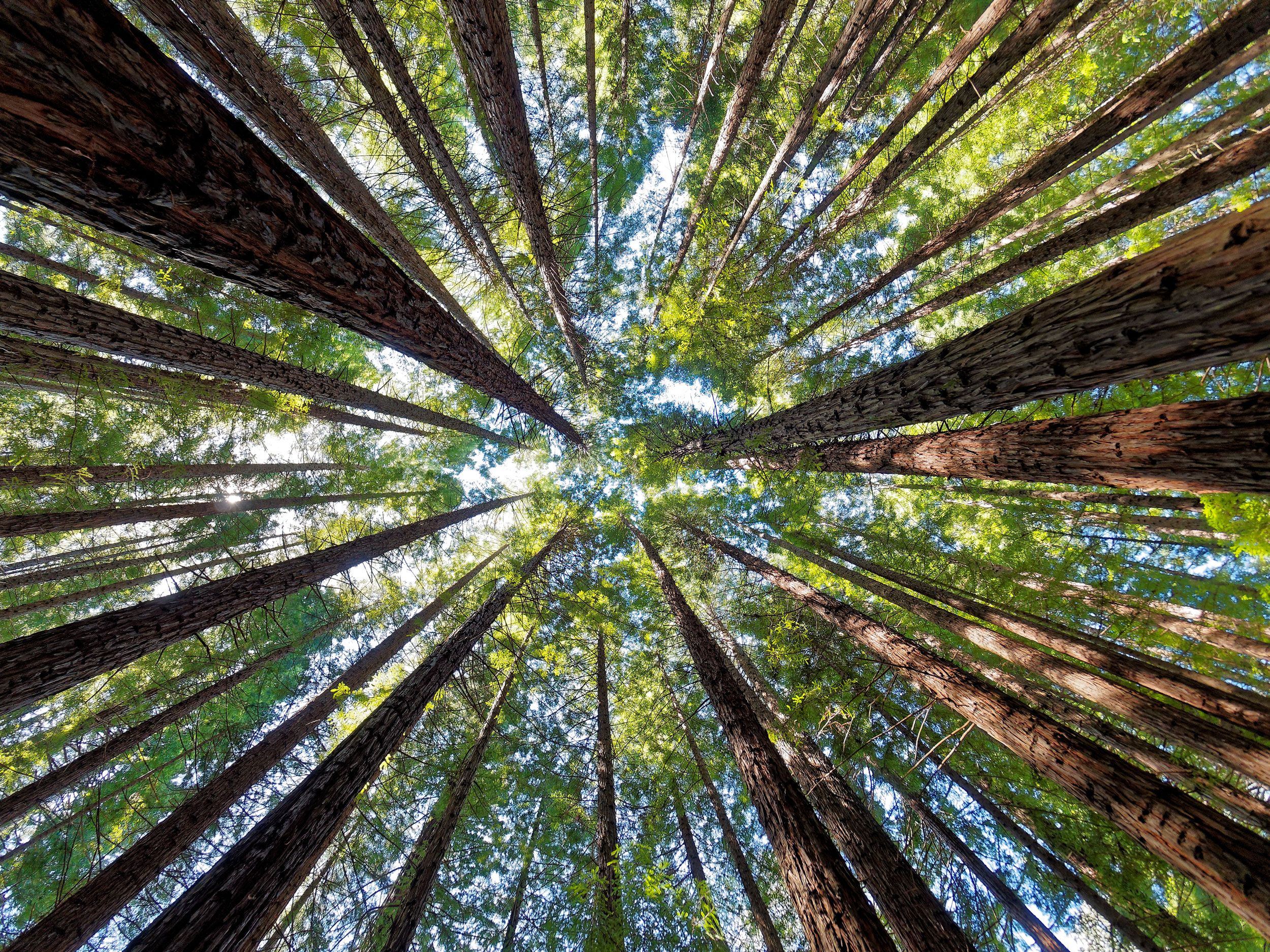 Greenwood Assisted Living