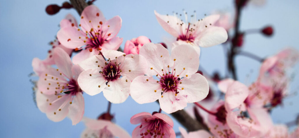 Merced Three Residential Care Facility