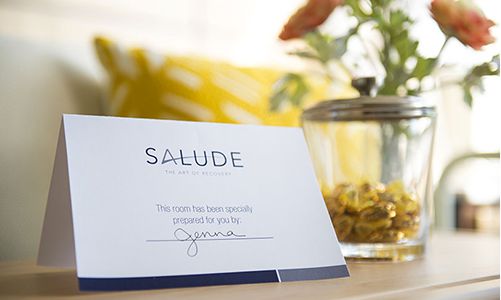 Salude – the Art of Recovery