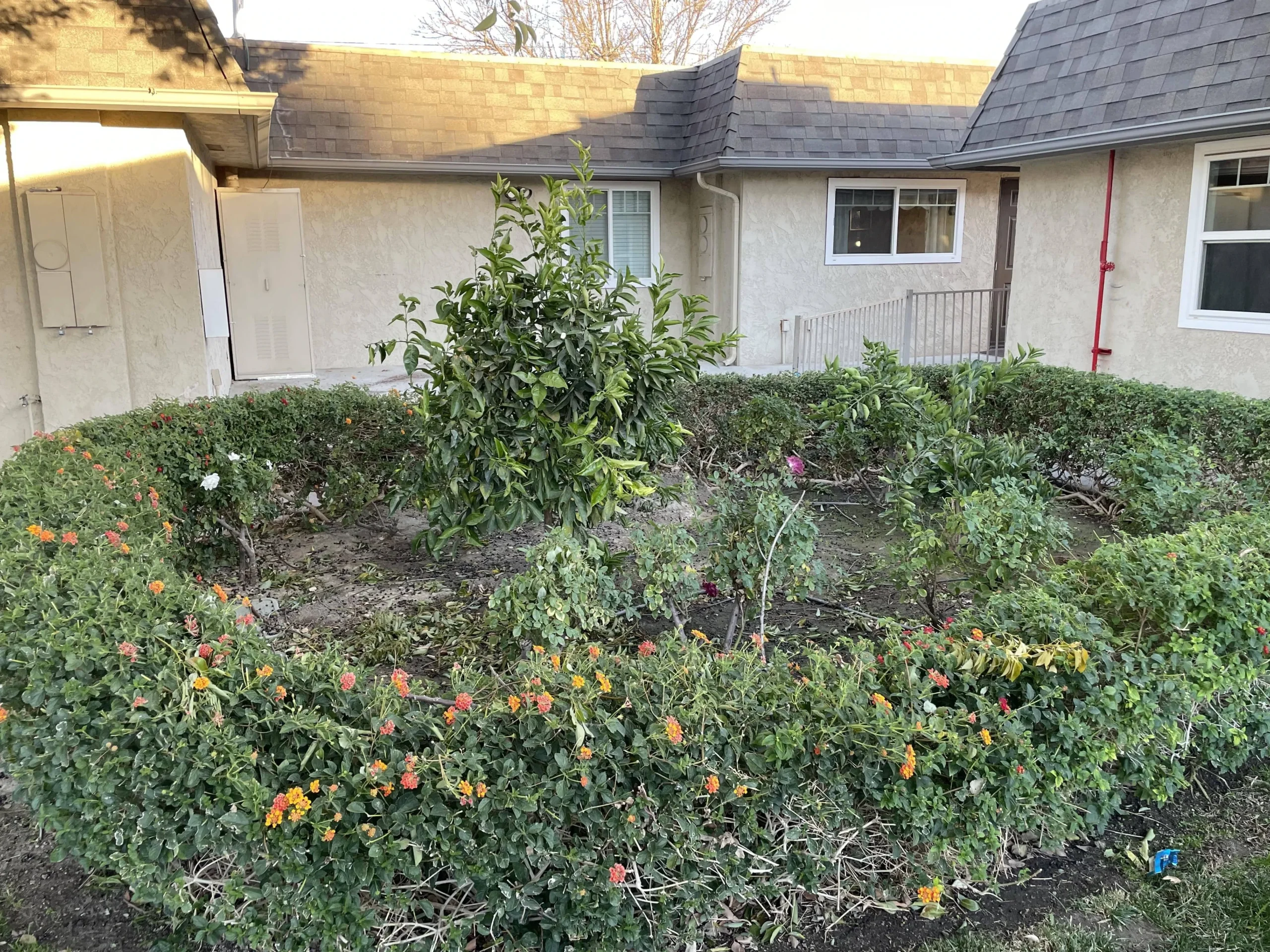 A landscaped garden area with flowers and a tree