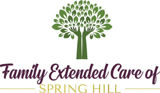 Family Extended Care of Spring Hill Nw Inc