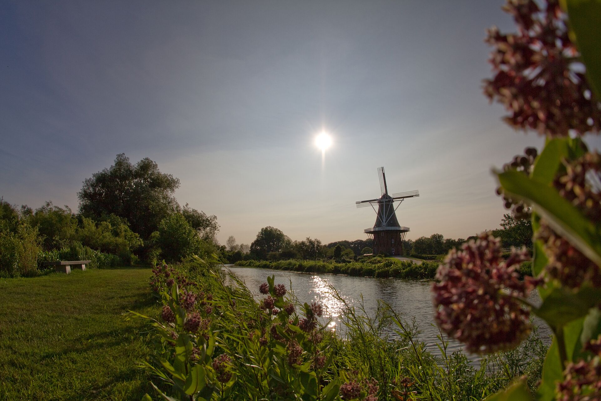 Windmill by a calm river with blooming flowers