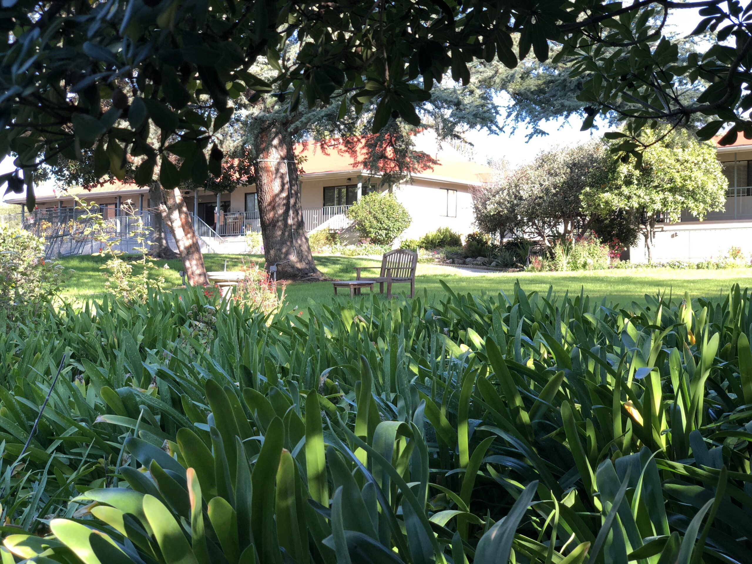 Garden area with seating and buildings in the background.