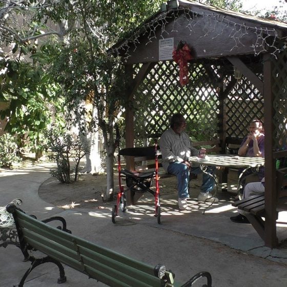 Ambassador Garden