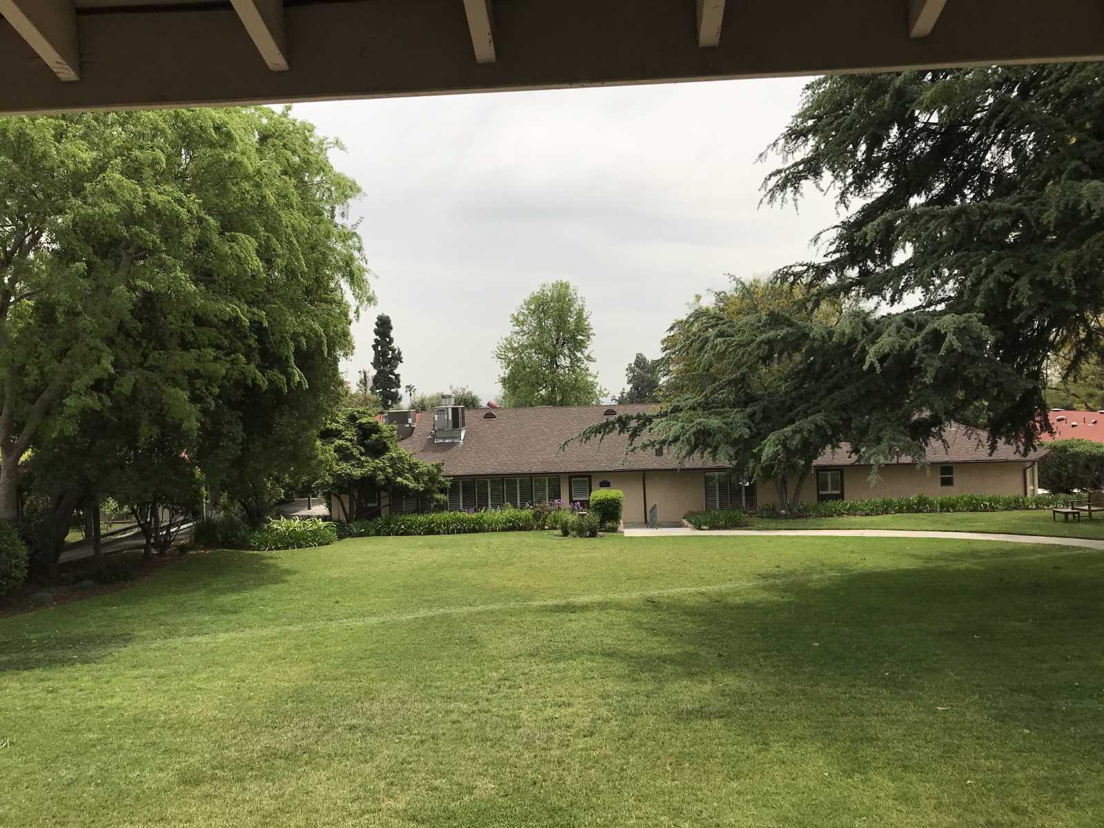 Lush green outdoor space in a senior care facility.