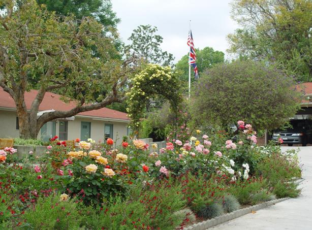 Beautiful flower garden with British flags
