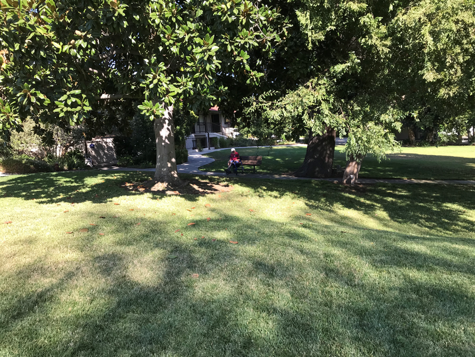Resident relaxing under trees in outdoor area.