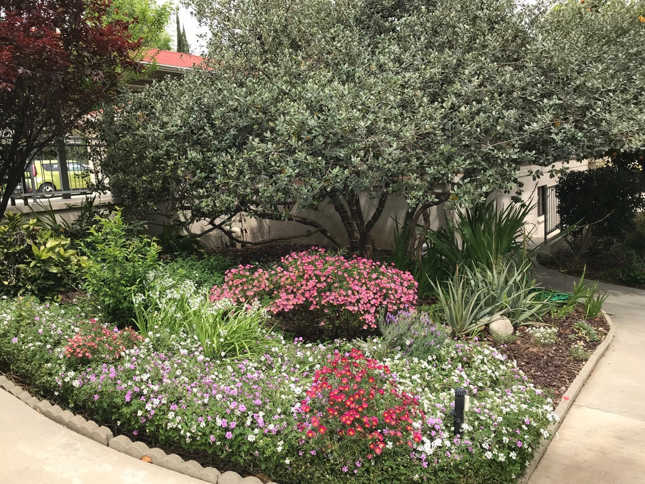 Beautiful flower garden at the facility