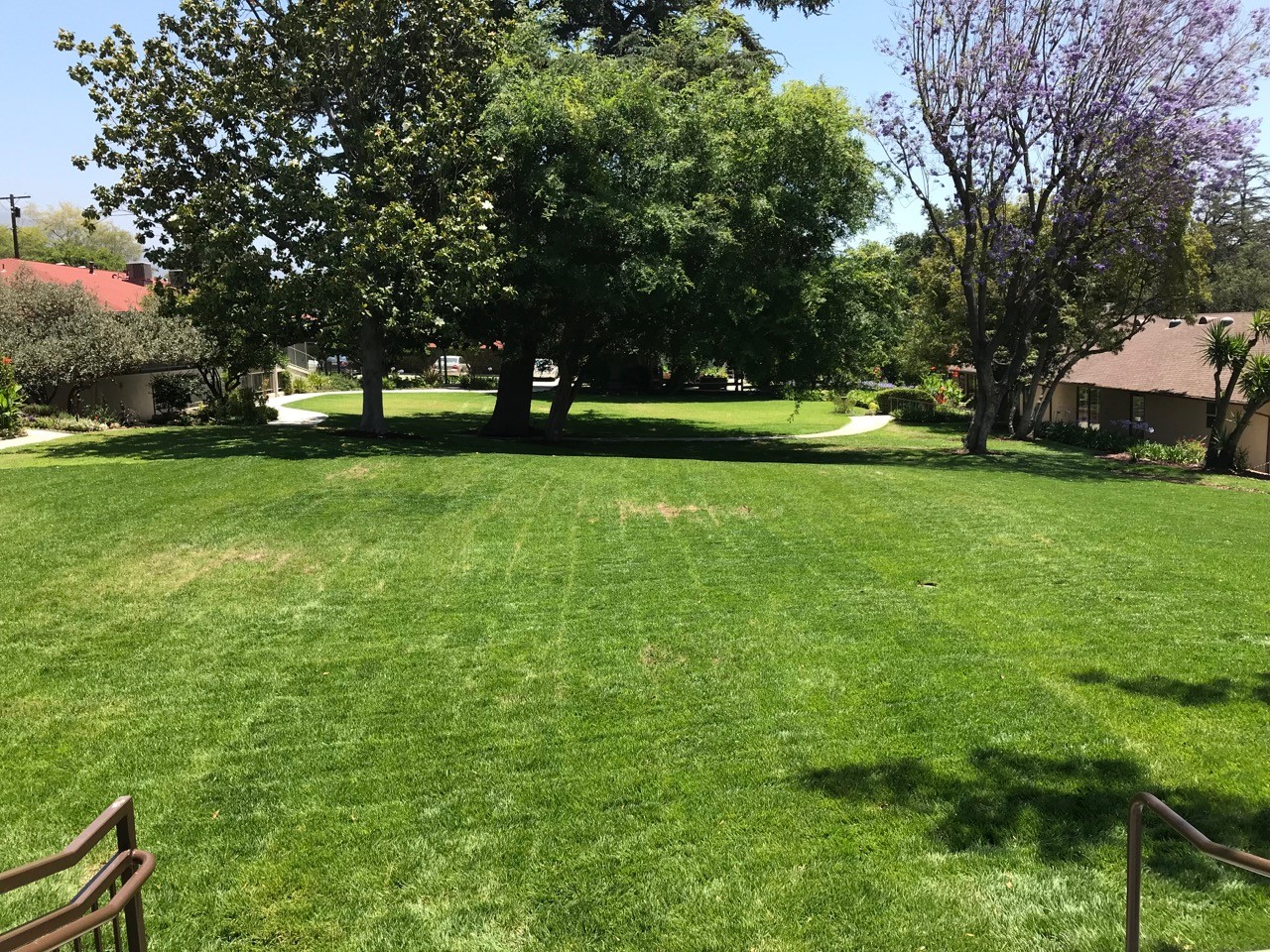 Spacious green lawn in a care facility