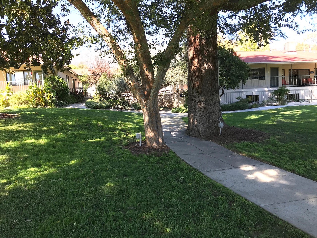 Pathway through a landscaped outdoor area