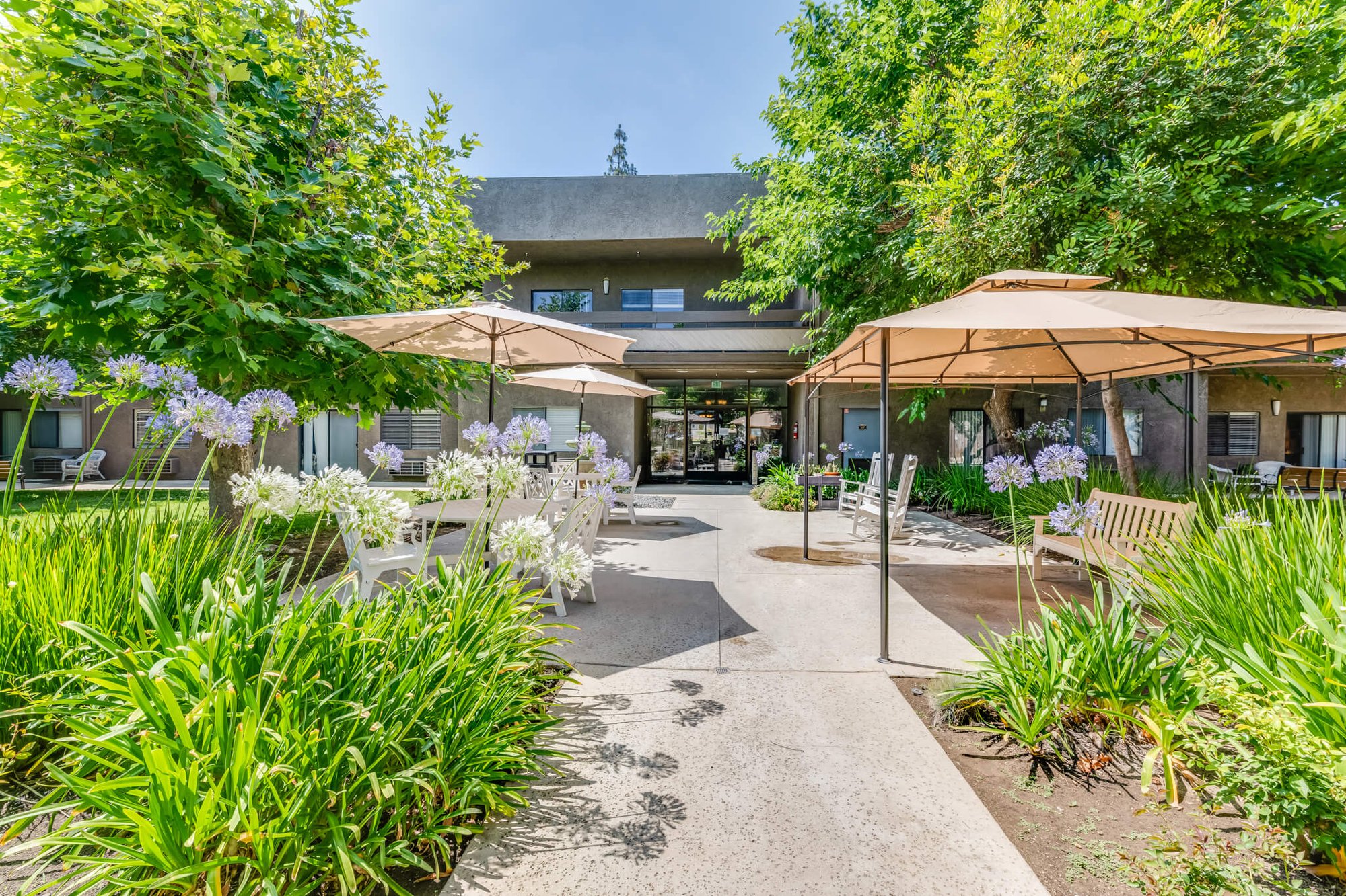 Pathway through a landscaped outdoor area with seating