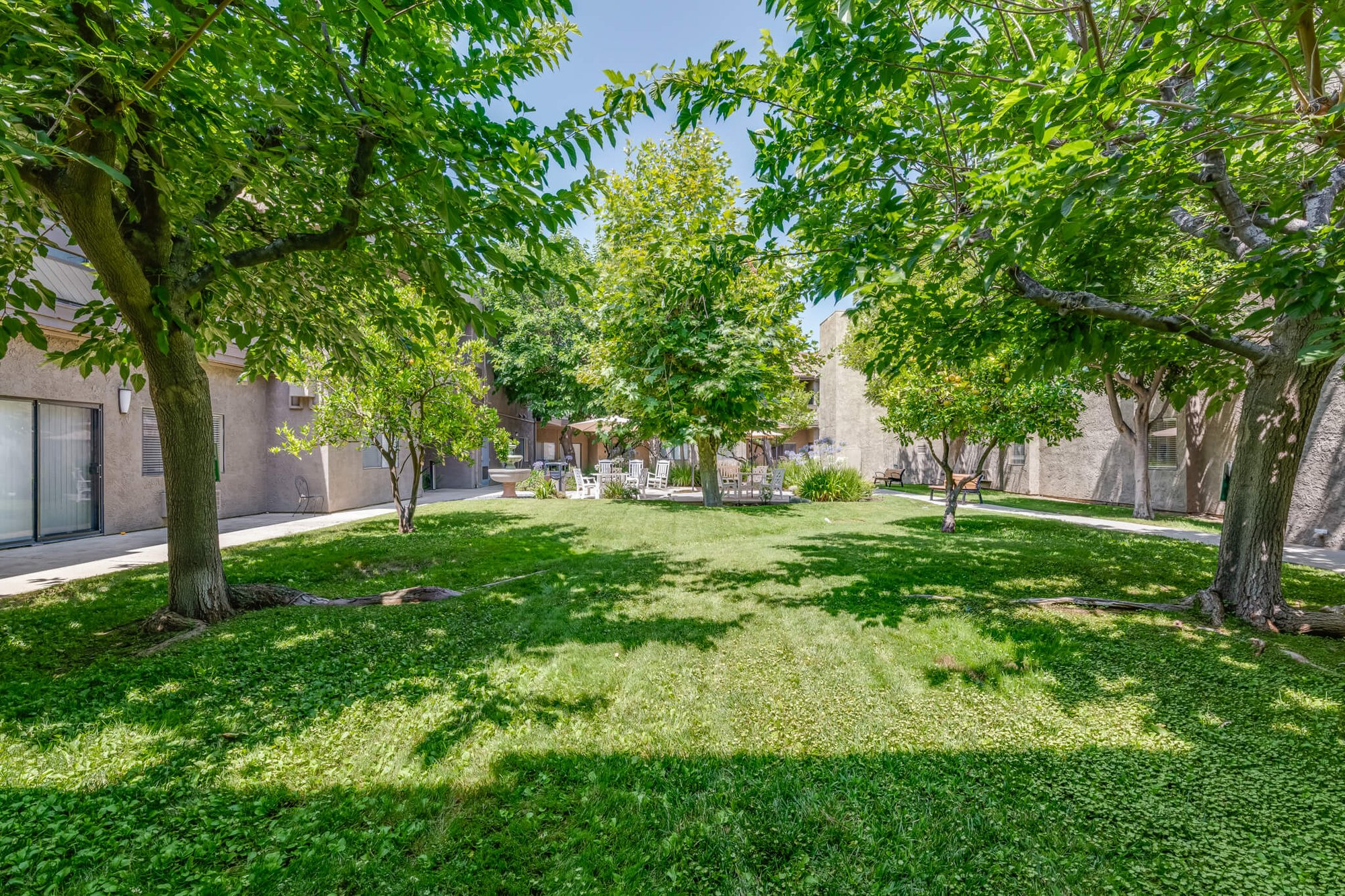 A lush green courtyard with trees and seating areas.