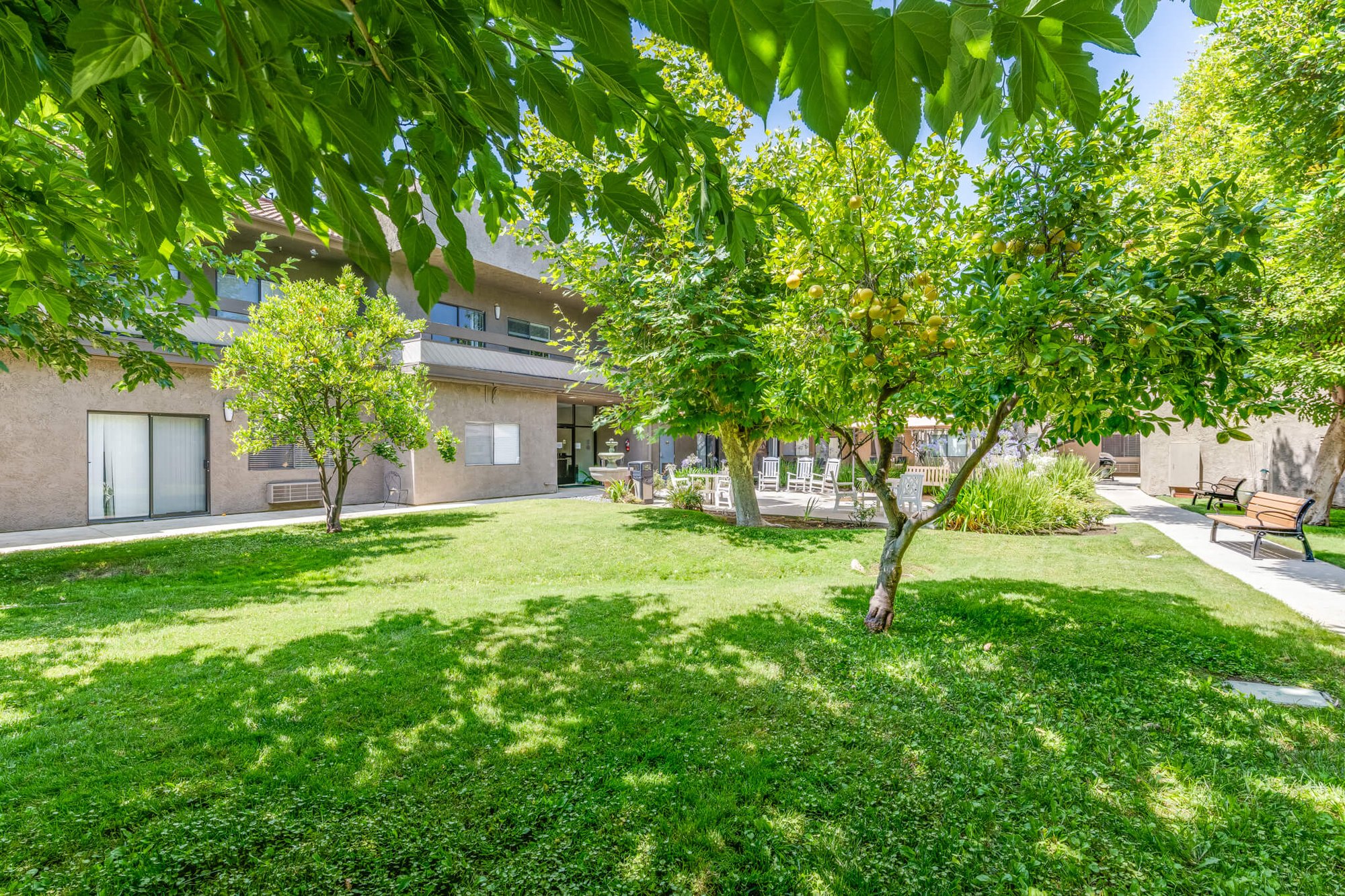 Outdoor area with trees and seating.