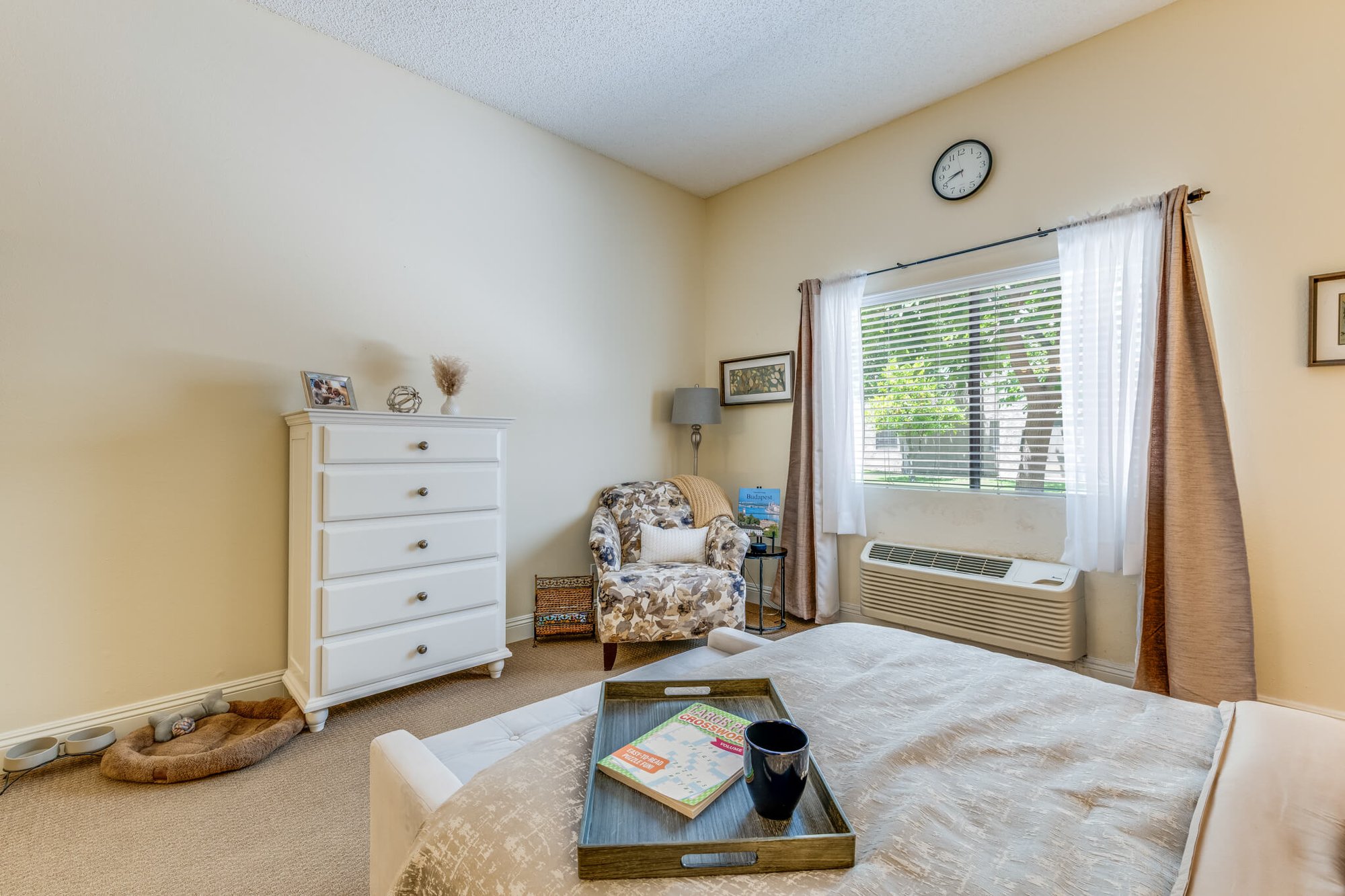Cozy bedroom with a chair and dresser