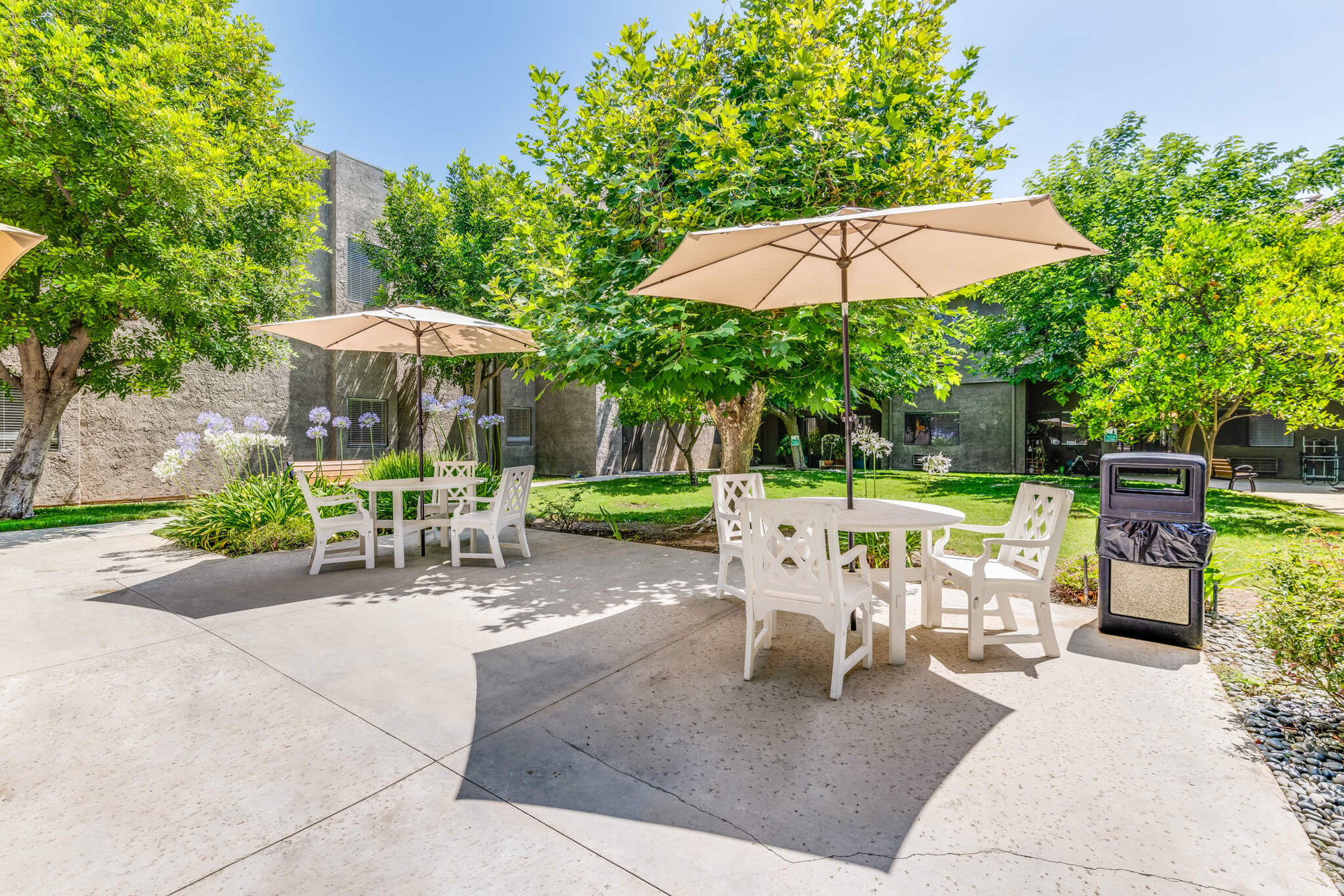 Outdoor seating area with umbrellas and greenery