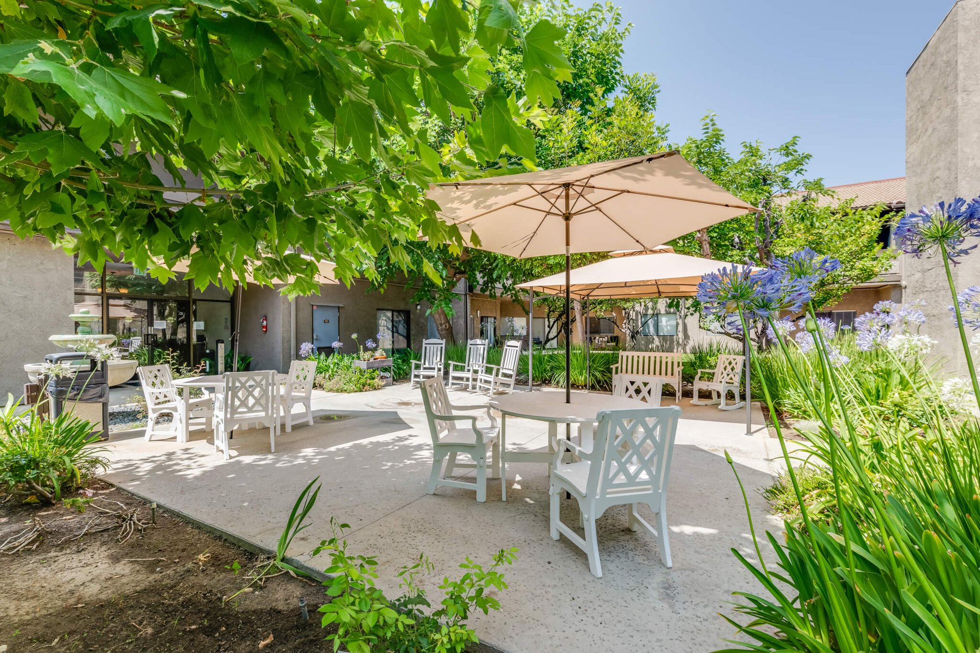 Outdoor seating area with umbrellas and greenery