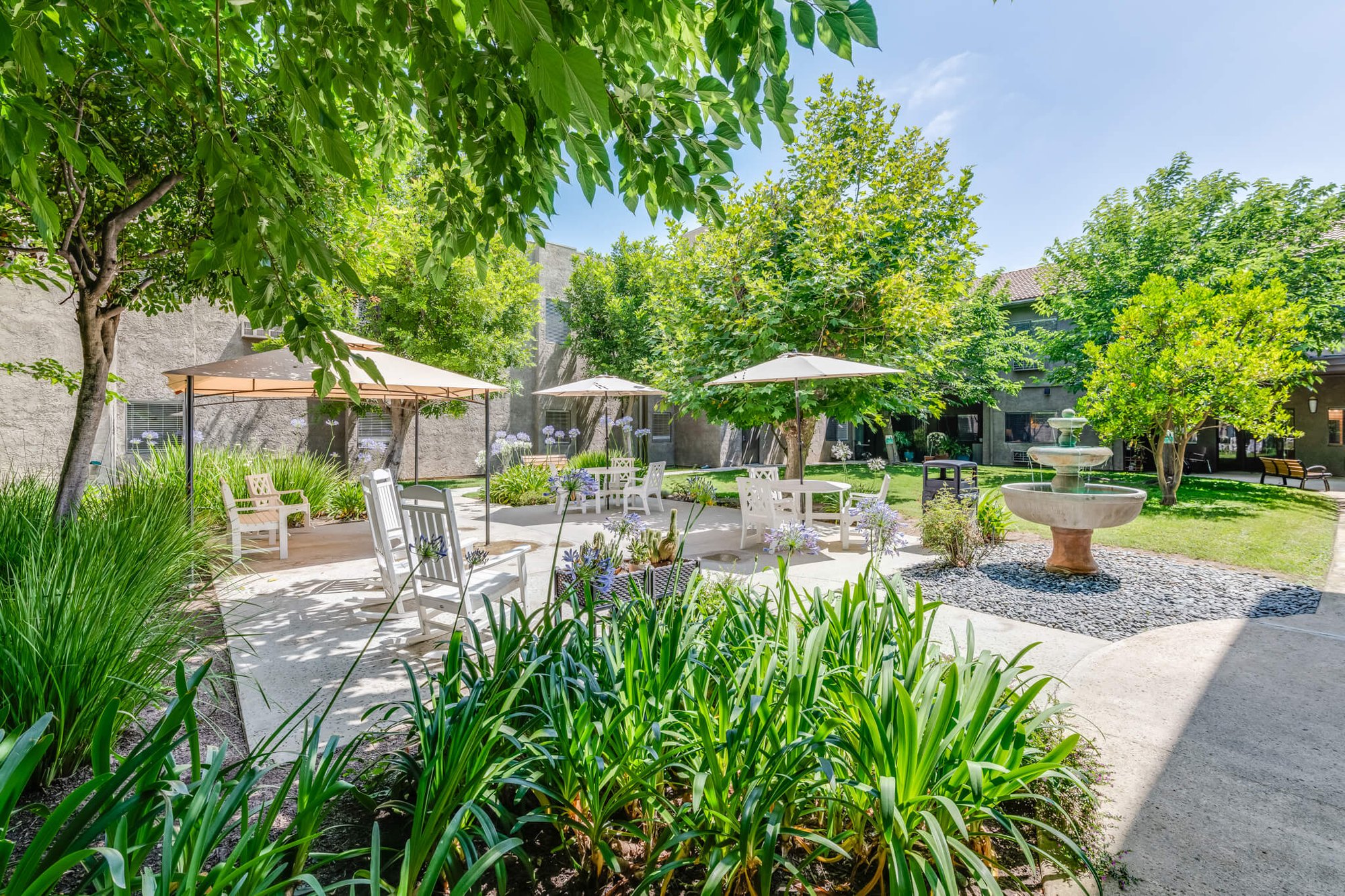 Outdoor garden area with seating and trees.