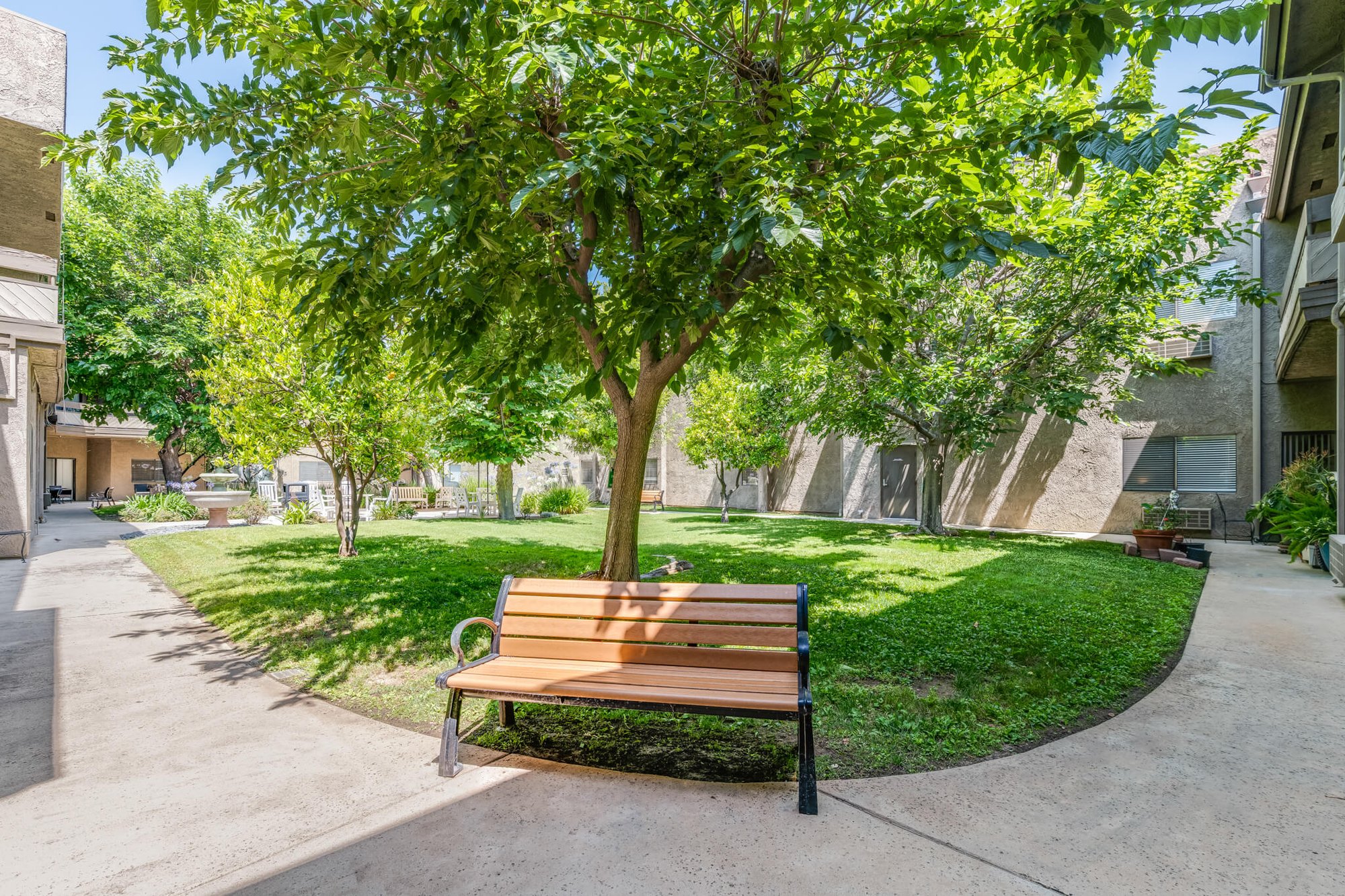 Lush garden with a bench in a sunny area
