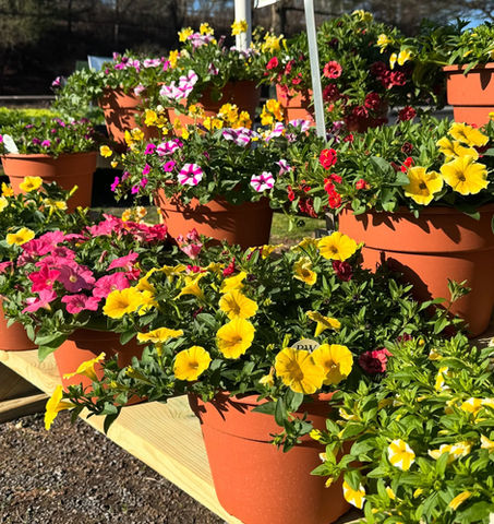 Sunnyside Gardens