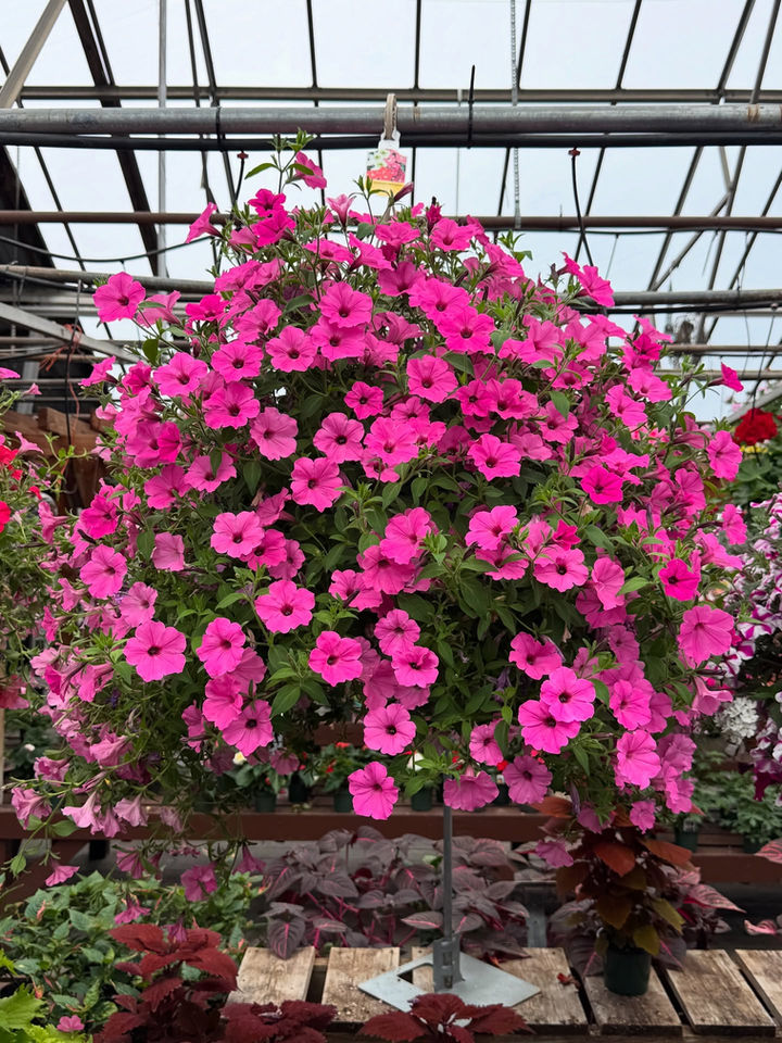 Sunnyside Gardens