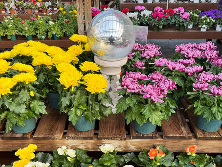 Sunnyside Gardens