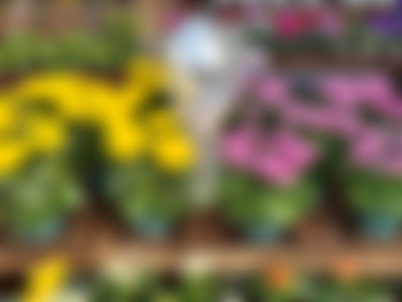 Sunnyside Gardens
