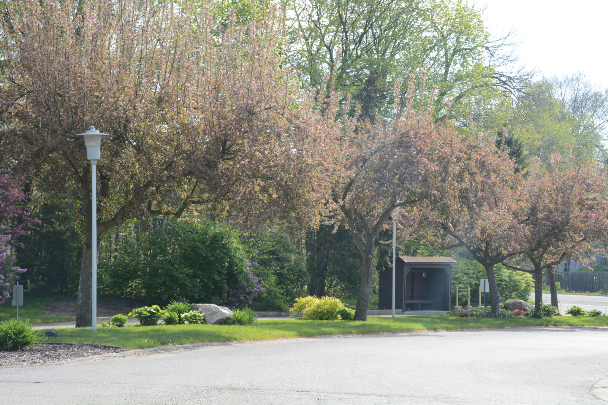 Tree-lined entrance with a small structure.