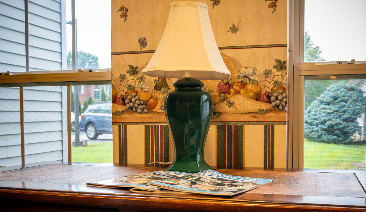 Interior decor featuring a lamp and magazines