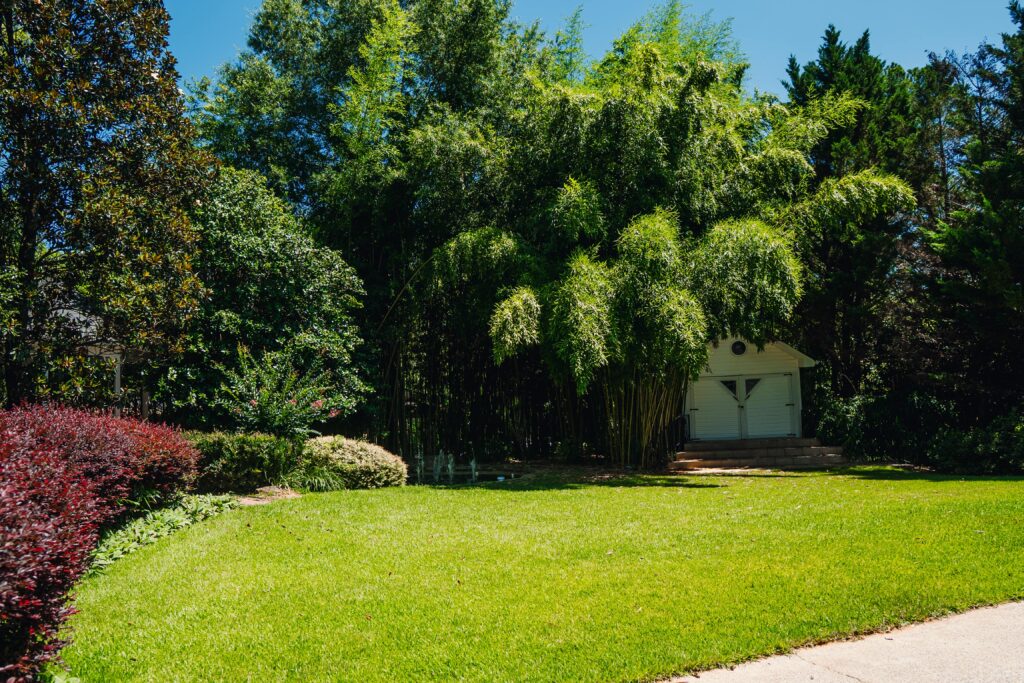 Kingston Wellness Retreat