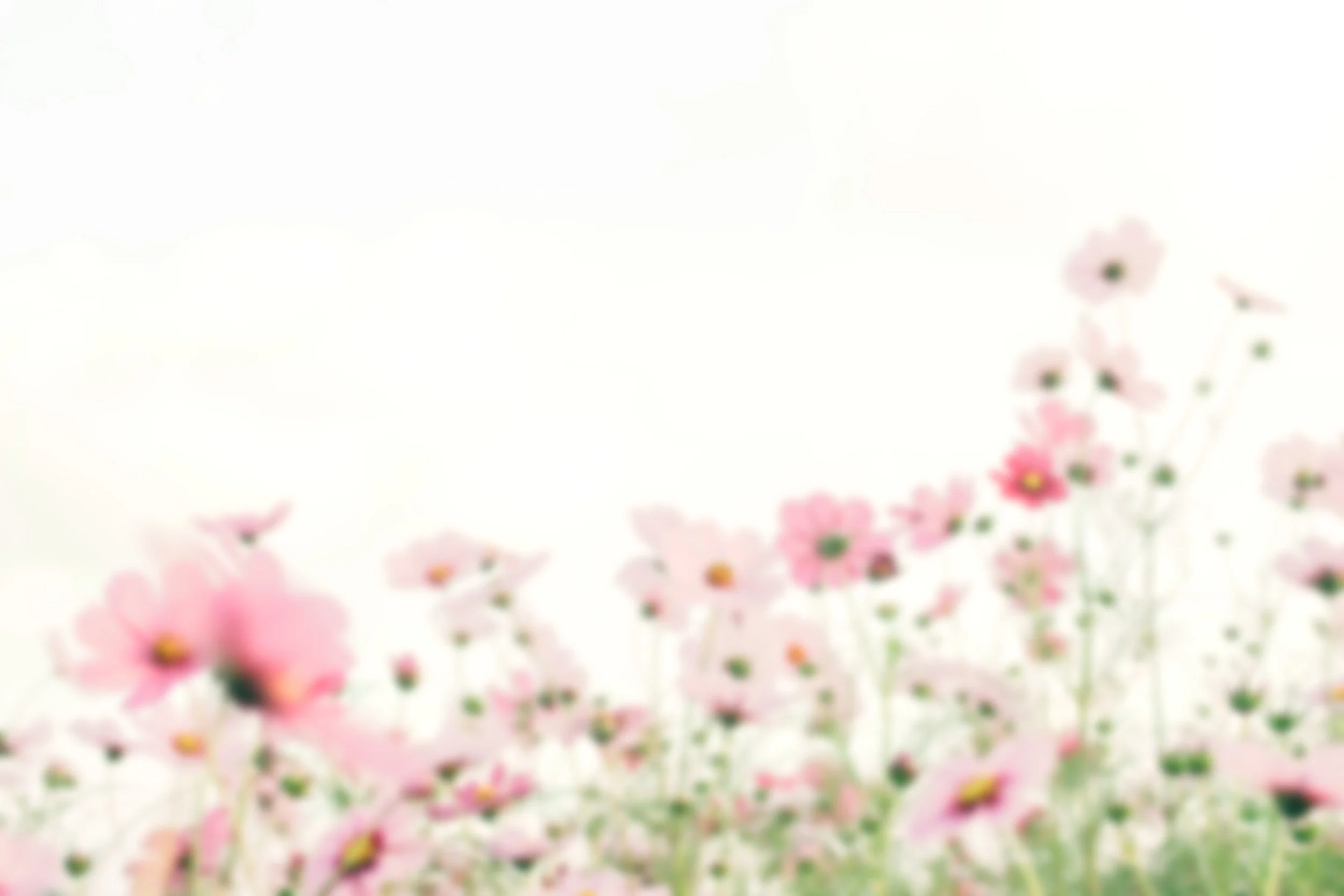 Derby Assisted Living LLC