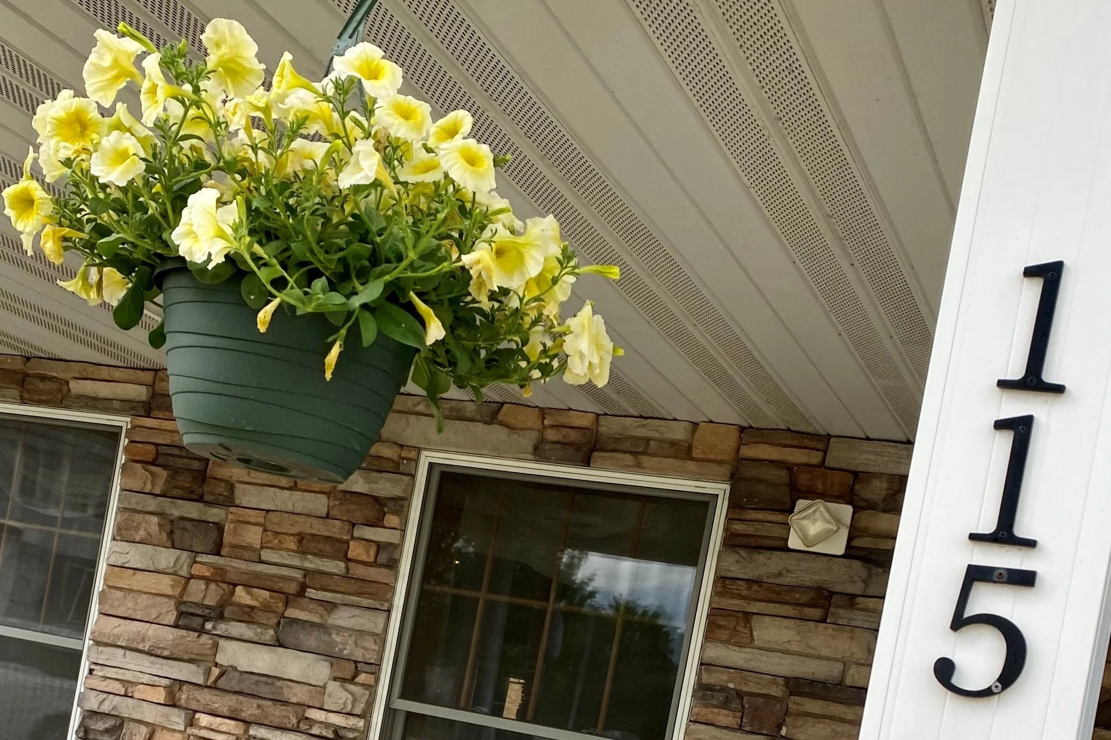 Cornerstone Residence Senior C