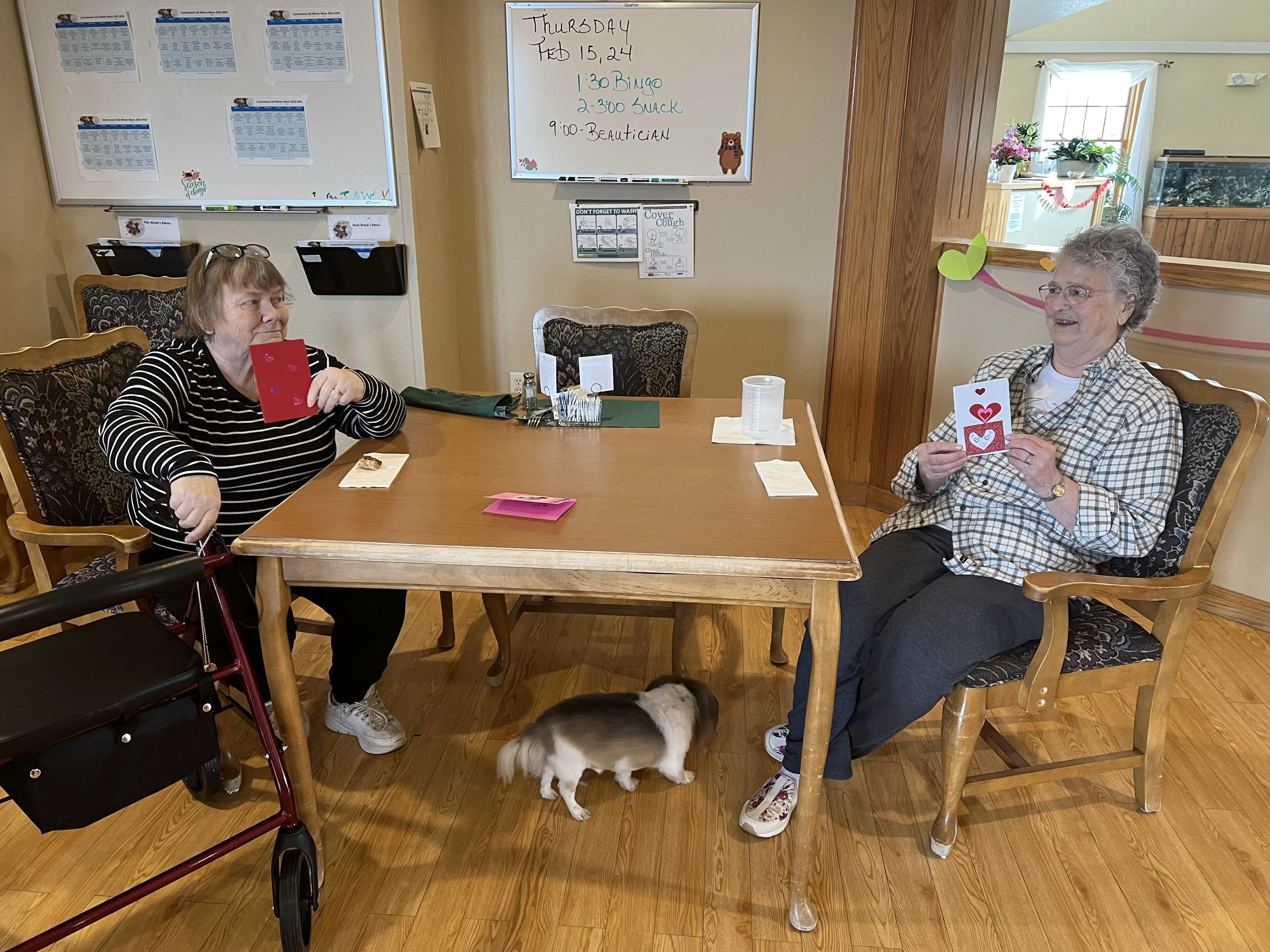 Cornerstone Residence Senior C