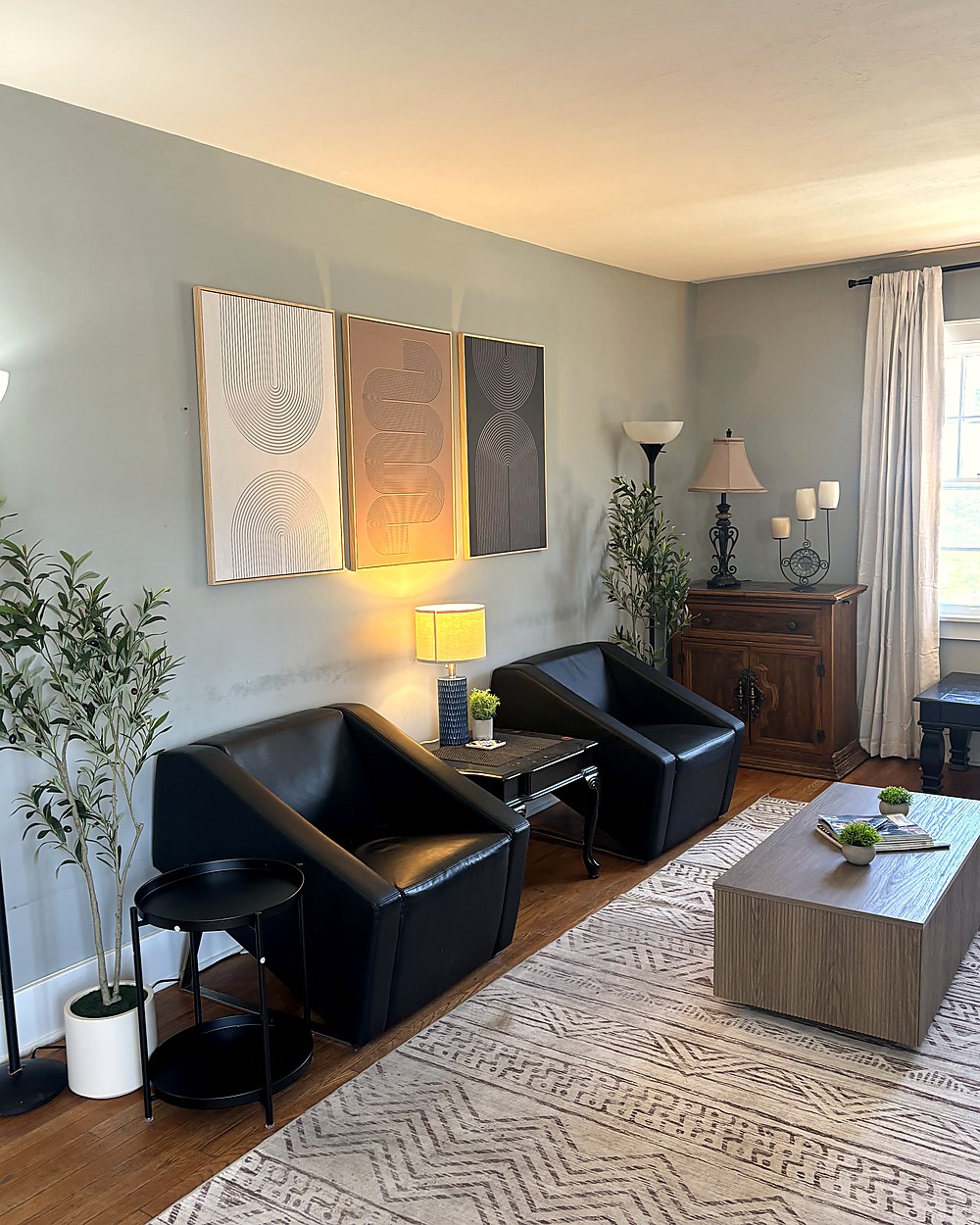 Comfortable seating area with modern decor