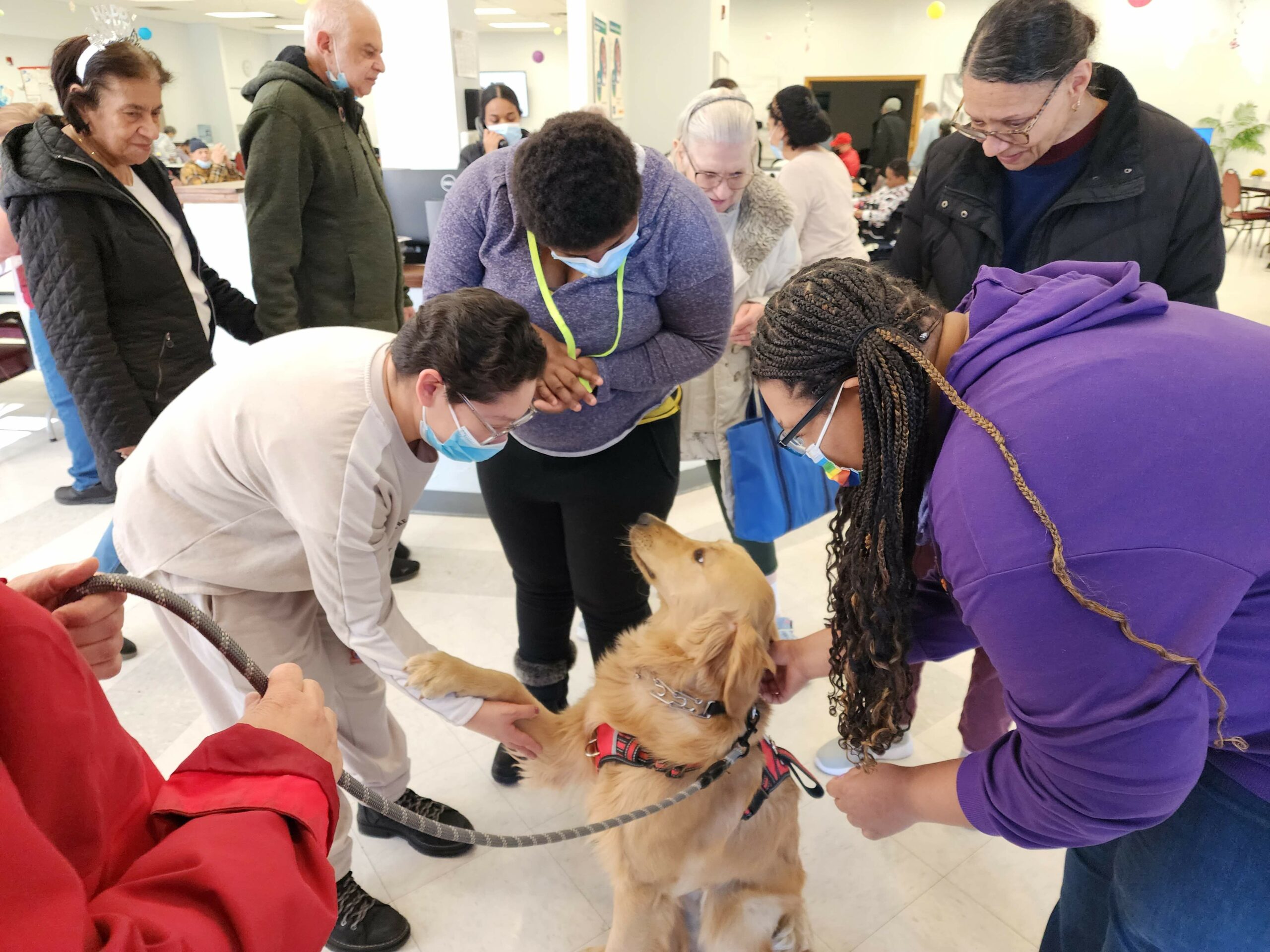 Residents interacting with a therapy dog indoors.